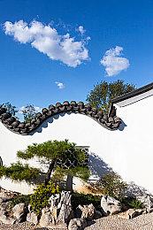 动身吧，褪色者！《艾尔登法环》今日发售！